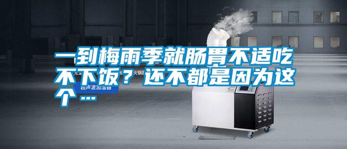 一到梅雨季就腸胃不適吃不下飯？還不都是因?yàn)檫@個(gè)…