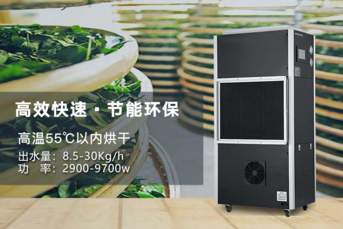 夏天來了，記得祛濕哦
