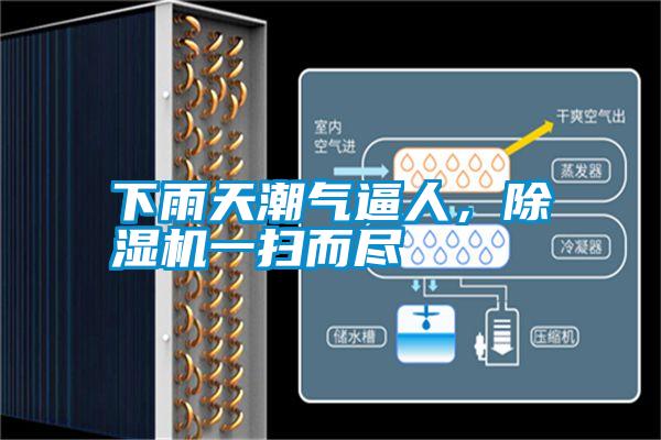 下雨天潮氣逼人，除濕機(jī)一掃而盡