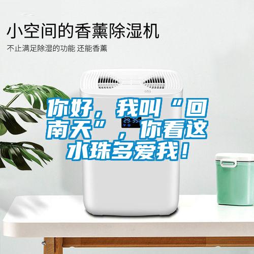 你好，我叫“回南天”，你看這水珠多愛我！