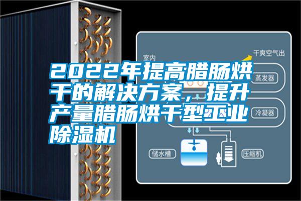 2022年提高臘腸烘干的解決方案，提升產(chǎn)量臘腸烘干型工業(yè)除濕機