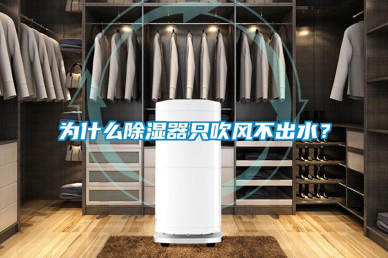 為什么除濕器只吹風不出水？