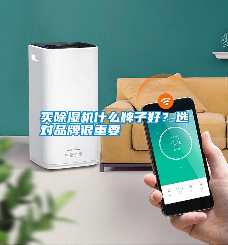 買除濕機什么牌子好？選對品牌很重要