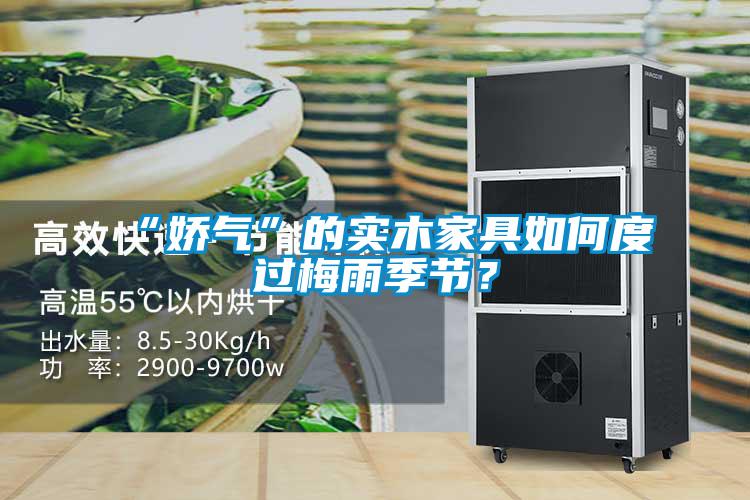 “嬌氣”的實(shí)木家具如何度過(guò)梅雨季節(jié)？