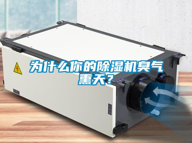 為什么你的除濕機臭氣熏天？