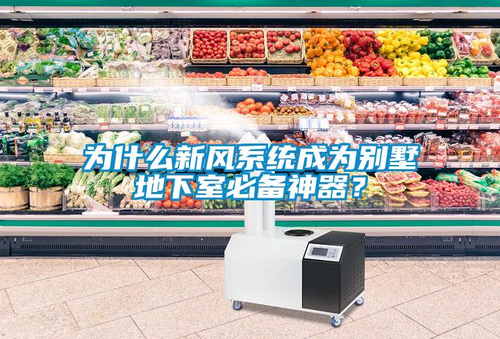 為什么新風(fēng)系統(tǒng)成為別墅地下室必備神器？