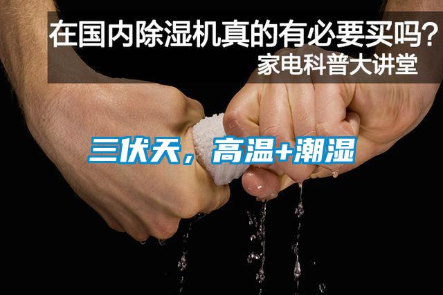 三伏天，高溫+潮濕
