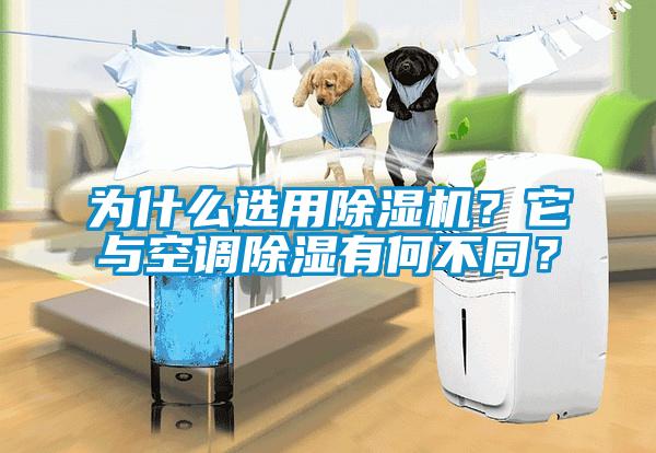 為什么選用除濕機？它與空調(diào)除濕有何不同？