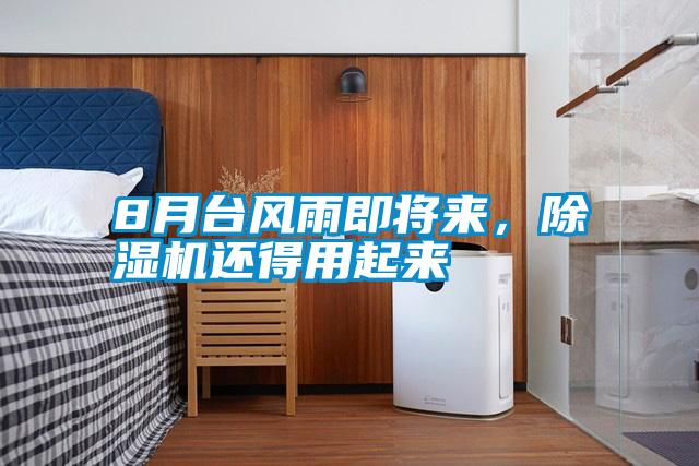 8月臺(tái)風(fēng)雨即將來，除濕機(jī)還得用起來