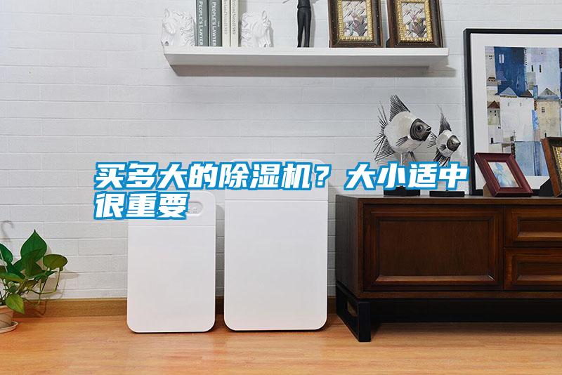 買多大的除濕機？大小適中很重要