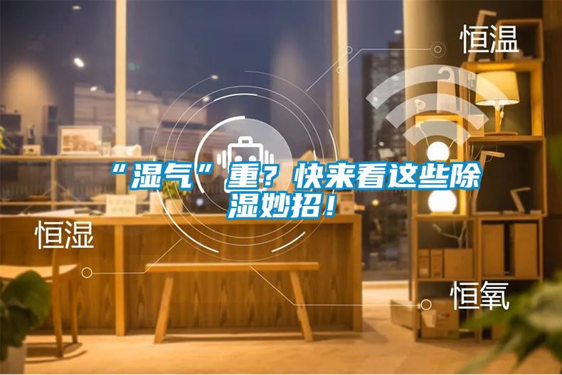 “濕氣”重？快來看這些除濕妙招！