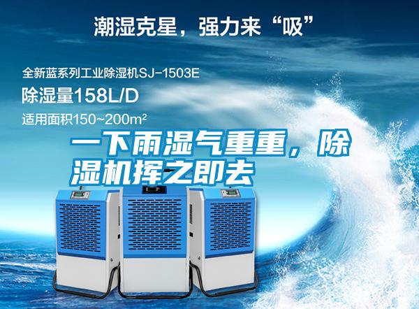一下雨濕氣重重，除濕機(jī)揮之即去