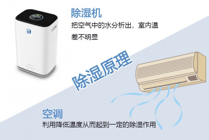 南方梅雨季，怎樣不讓“霉運”肆無忌憚？