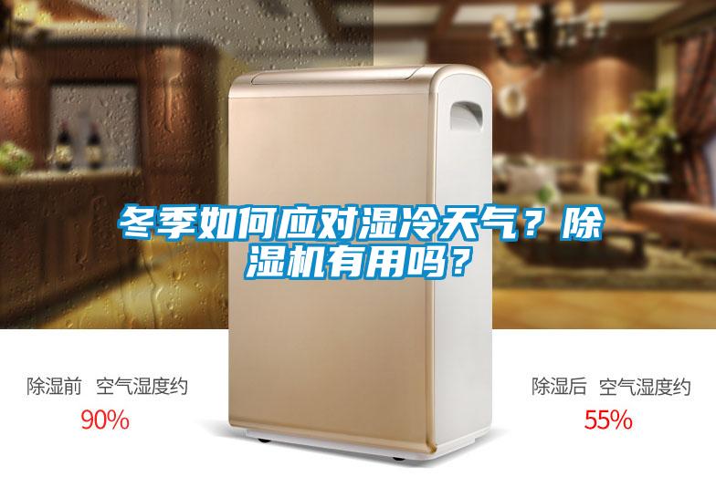 冬季如何應(yīng)對濕冷天氣？除濕機有用嗎？