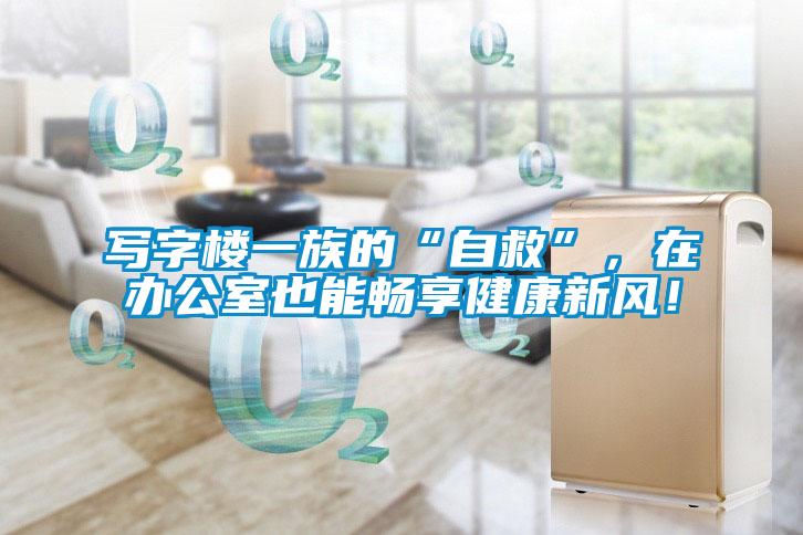 寫字樓一族的“自救”，在辦公室也能暢享健康新風！
