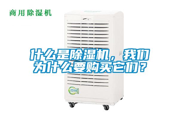 什么是除濕機(jī)，我們?yōu)槭裁匆?gòu)買它們？