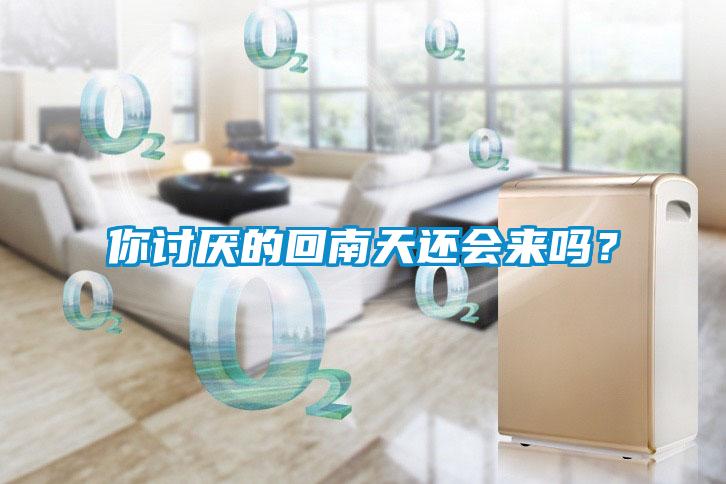 你討厭的回南天還會來嗎？