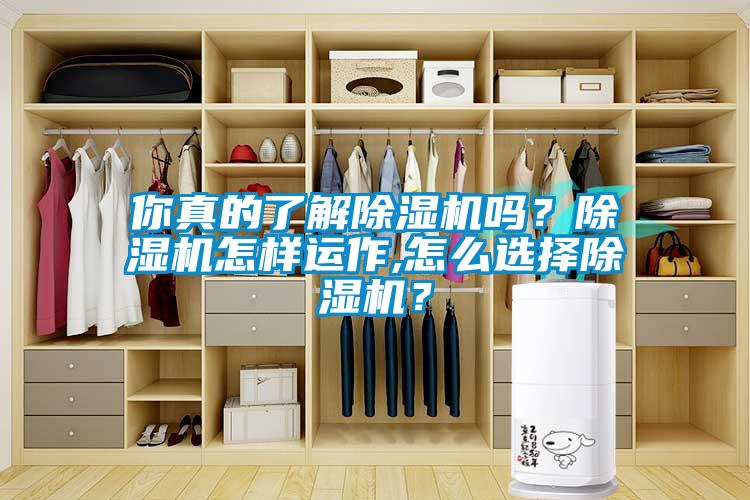 你真的了解除濕機(jī)嗎？除濕機(jī)怎樣運(yùn)作,怎么選擇除濕機(jī)？
