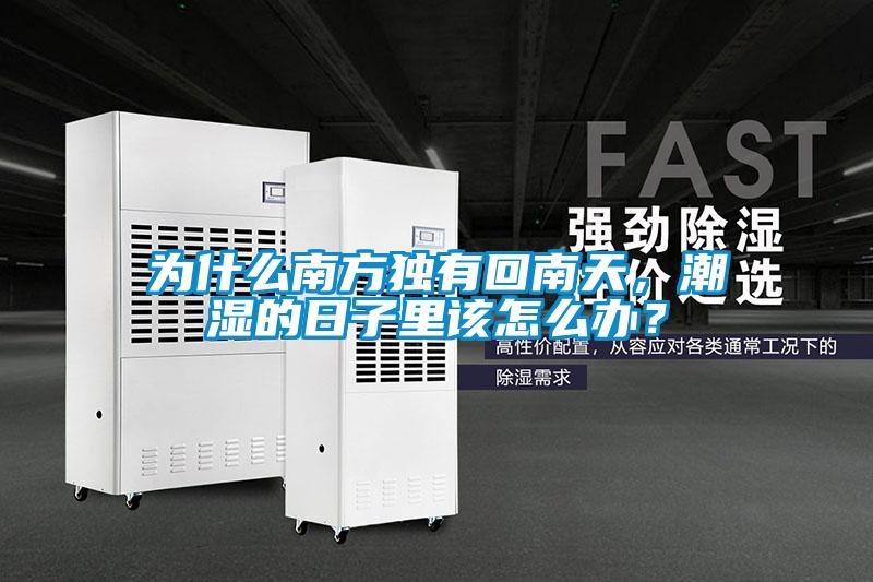 為什么南方獨(dú)有回南天，潮濕的日子里該怎么辦？