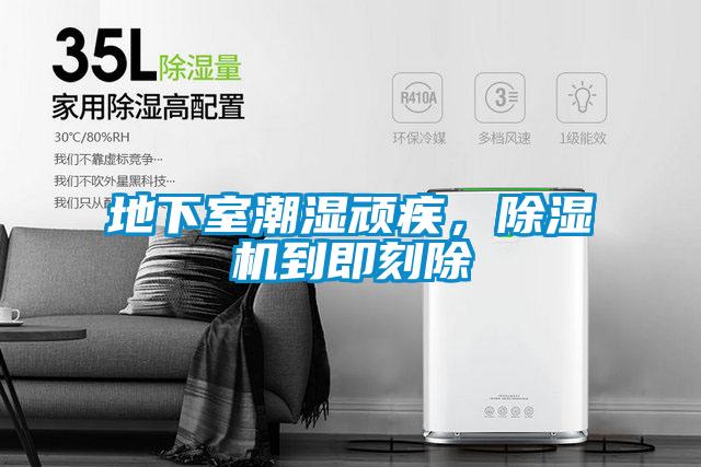 地下室潮濕頑疾，除濕機到即刻除