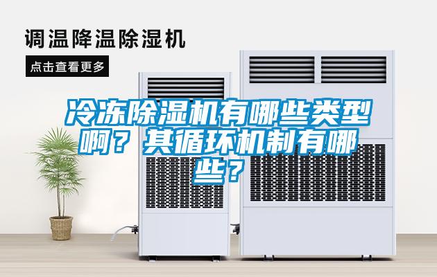 冷凍除濕機有哪些類型?。科溲h(huán)機制有哪些？