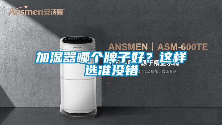 加濕器哪個牌子好？這樣選準沒錯