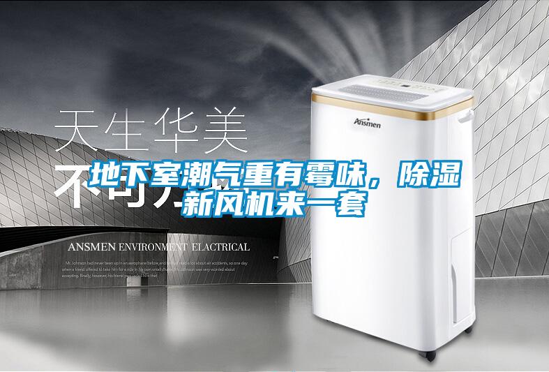 地下室潮氣重有霉味，除濕新風(fēng)機(jī)來(lái)一套