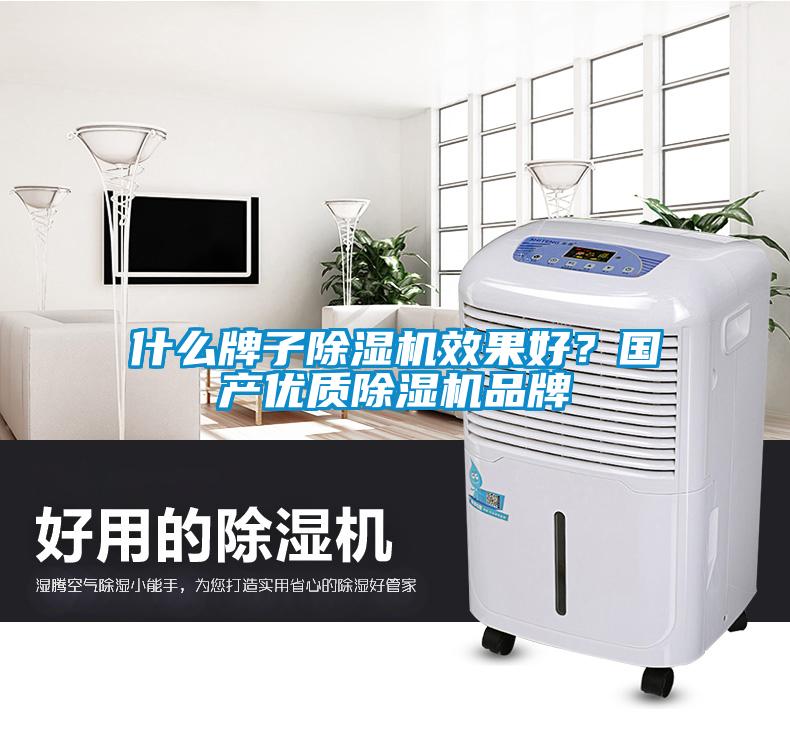 什么牌子除濕機(jī)效果好？國產(chǎn)優(yōu)質(zhì)除濕機(jī)品牌
