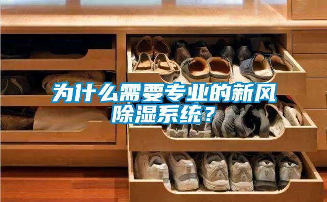 為什么需要專業(yè)的新風(fēng)除濕系統(tǒng)？