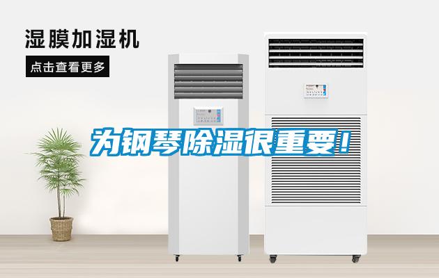 為鋼琴除濕很重要！