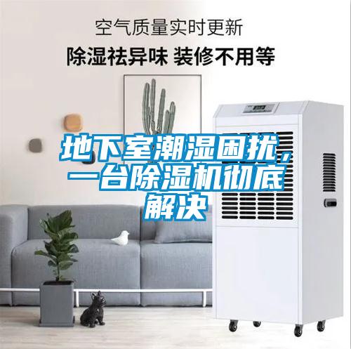地下室潮濕困擾，一臺(tái)除濕機(jī)徹底解決