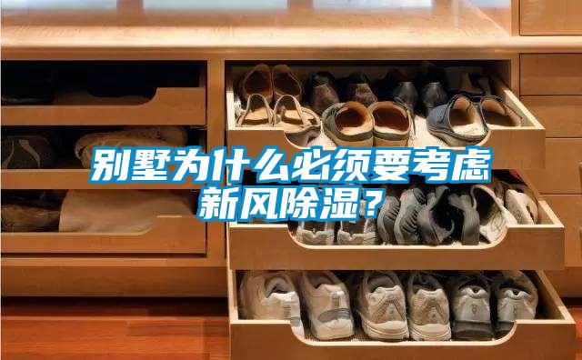 別墅為什么必須要考慮新風除濕？