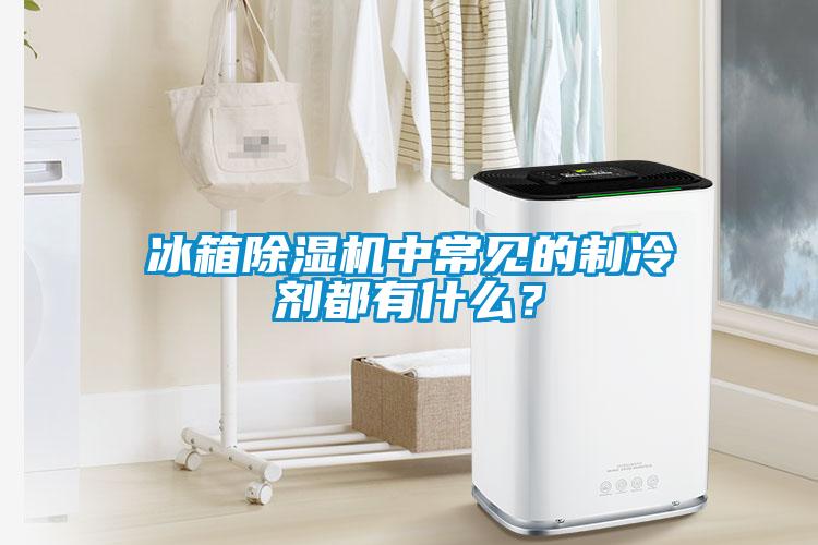 冰箱除濕機中常見的制冷劑都有什么？