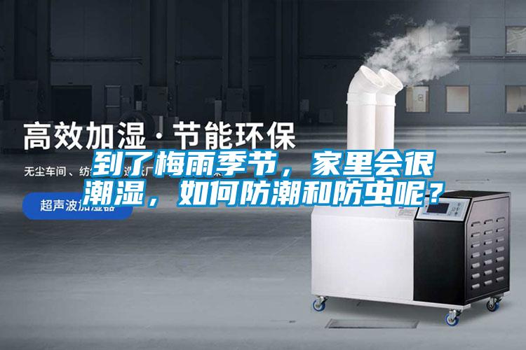 到了梅雨季節(jié)，家里會很潮濕，如何防潮和防蟲呢？