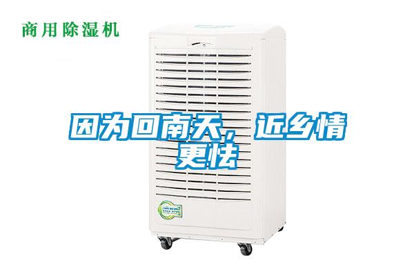 因為回南天，近鄉(xiāng)情更怯