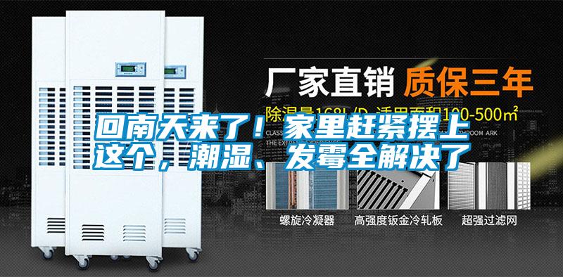 回南天來了！家里趕緊擺上這個(gè)，潮濕、發(fā)霉全解決了