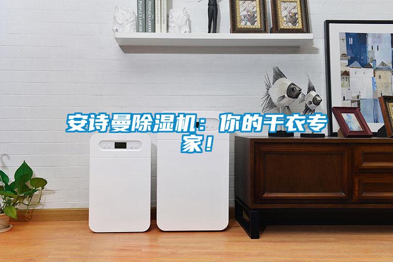 安詩(shī)曼除濕機(jī)：你的干衣專家！