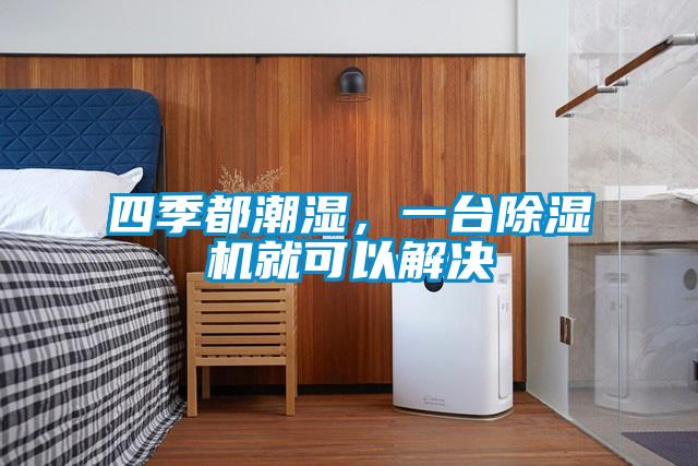 四季都潮濕，一臺除濕機就可以解決
