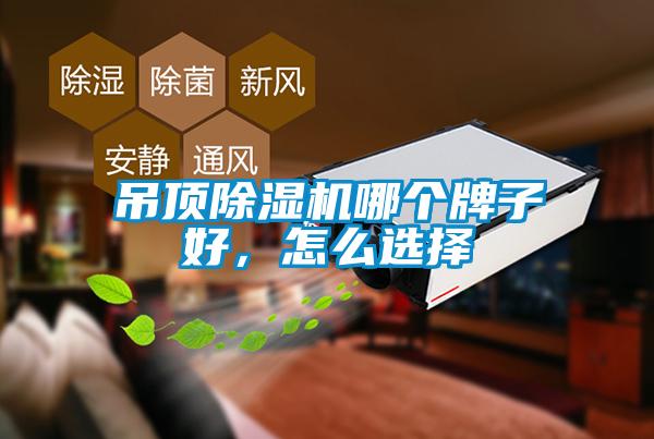 吊頂除濕機(jī)哪個(gè)牌子好，怎么選擇