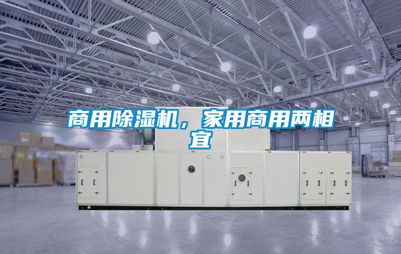 商用除濕機，家用商用兩相宜