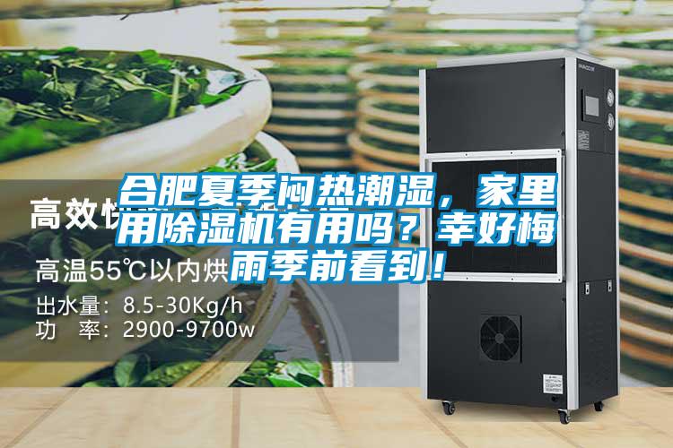 合肥夏季悶熱潮濕，家里用除濕機(jī)有用嗎？幸好梅雨季前看到！