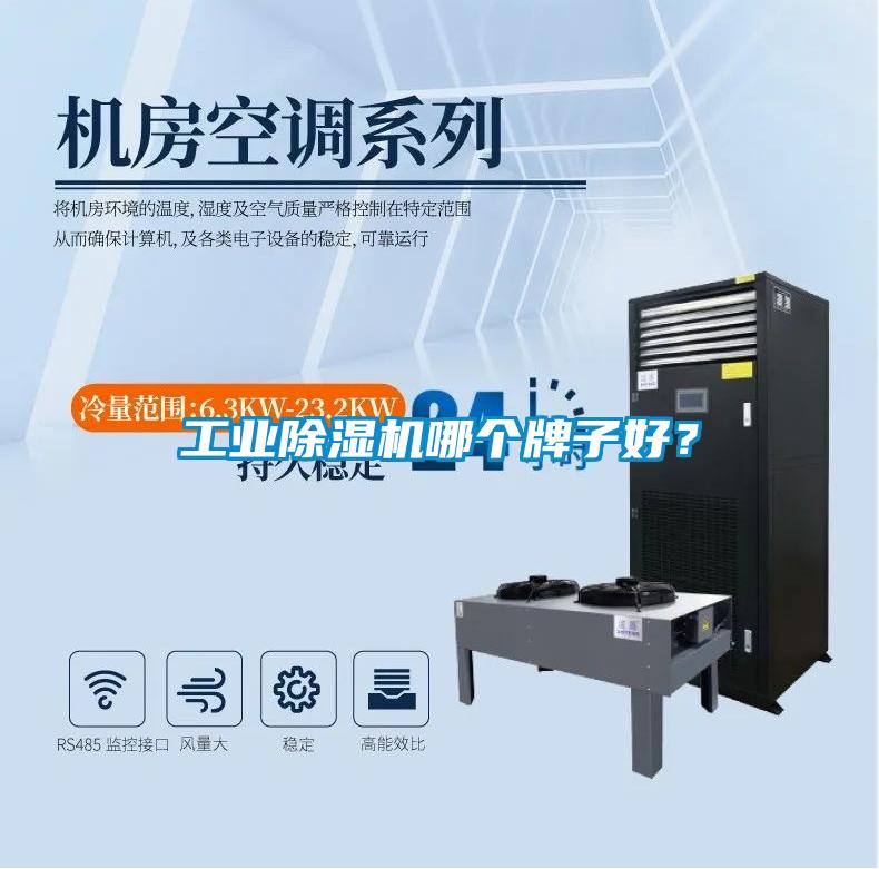 工業(yè)除濕機(jī)哪個牌子好？