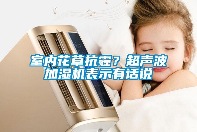 室內(nèi)花草抗霾？超聲波加濕機(jī)表示有話說