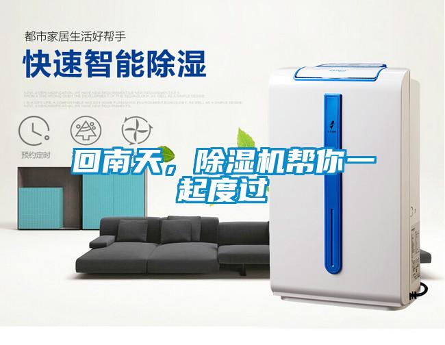 回南天，除濕機幫你一起度過