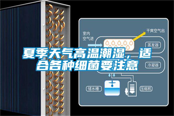 夏季天氣高溫潮濕，適合各種細(xì)菌要注意