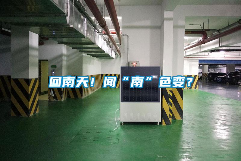 回南天！聞“南”色變？