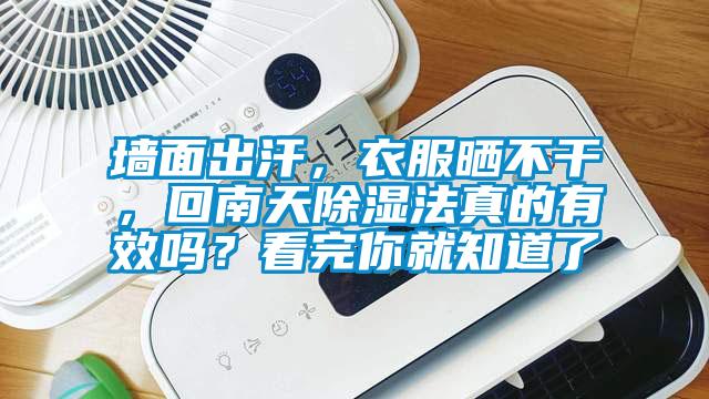 墻面出汗，衣服曬不干，回南天除濕法真的有效嗎？看完你就知道了