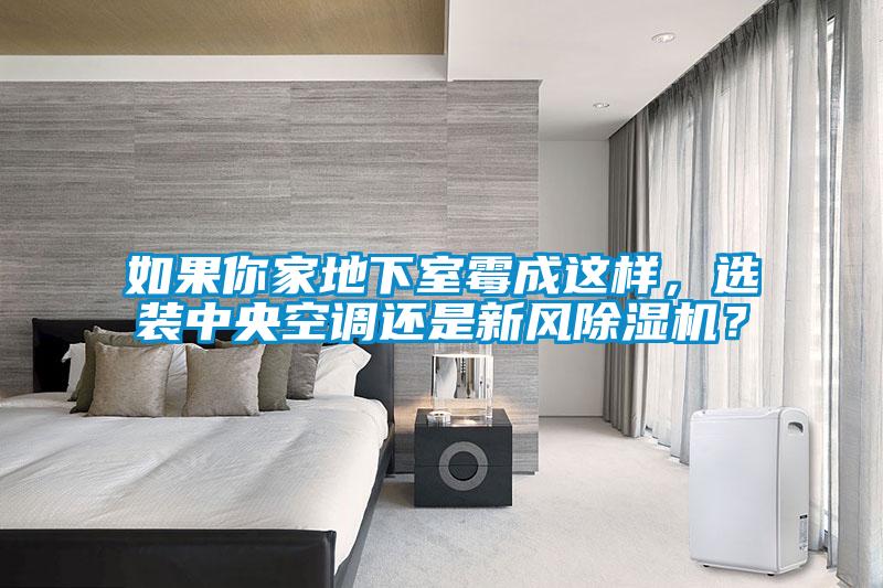 如果你家地下室霉成這樣，選裝中央空調還是新風除濕機？