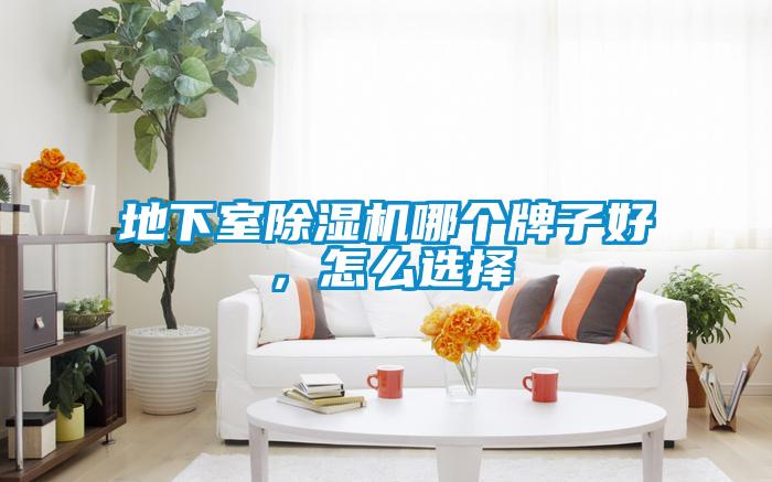 地下室除濕機(jī)哪個(gè)牌子好，怎么選擇