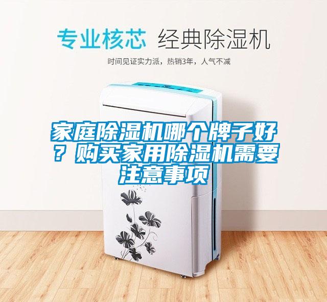 家庭除濕機(jī)哪個牌子好？購買家用除濕機(jī)需要注意事項(xiàng)
